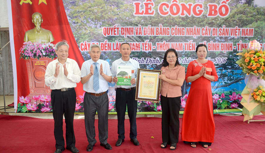C&acirc;y[-]cổ[-]thụ[-]đầu[-]ti&ecirc;n[-]của[-]x&atilde;[-]B&igrave;nh[-]Định,[-]tỉnh[-]Hưng[-]Y&ecirc;n[-]được[-]c&ocirc;ng[-]nhận[-]C&acirc;y[-]Di[-]sản[-]Việt[-]Nam